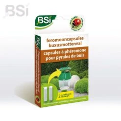 BSI Feromooncaps Buxusmottenval Navulling