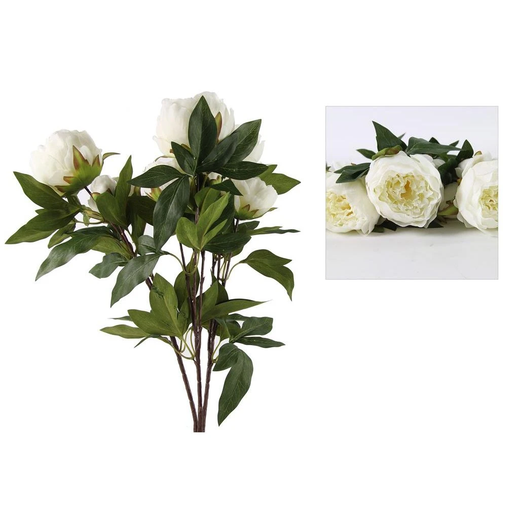 Countryfield Paeonia Rosa Wit 3 Countryfield Paeonia Rosa Wit