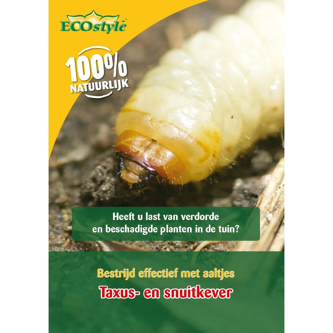 Ecostyle Aaltjes Tegen Larven Taxus-kever H 500 M² 3 Ecostyle Aaltjes Tegen Larven Taxus-kever H 500 M²