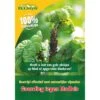 Ecostyle Gaasvlieg Tegen Bladluis 2 Ecostyle Gaasvlieg Tegen Bladluis -Deoosteindeonline Winkel ecostyle gaasvlieg tegen bladluis 1612388213 l