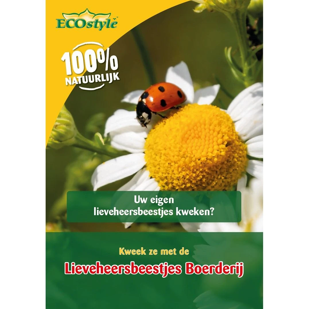 Ecostyle Kweek Je Eigen Lieveheersbeestjes 3 Ecostyle Kweek Je Eigen Lieveheersbeestjes
