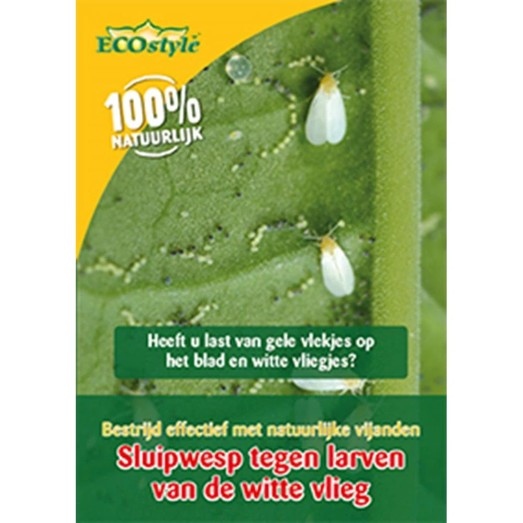 Ecostyle Sluipwesp Tegen Larven Witte Vlieg 3 Ecostyle Sluipwesp Tegen Larven Witte Vlieg