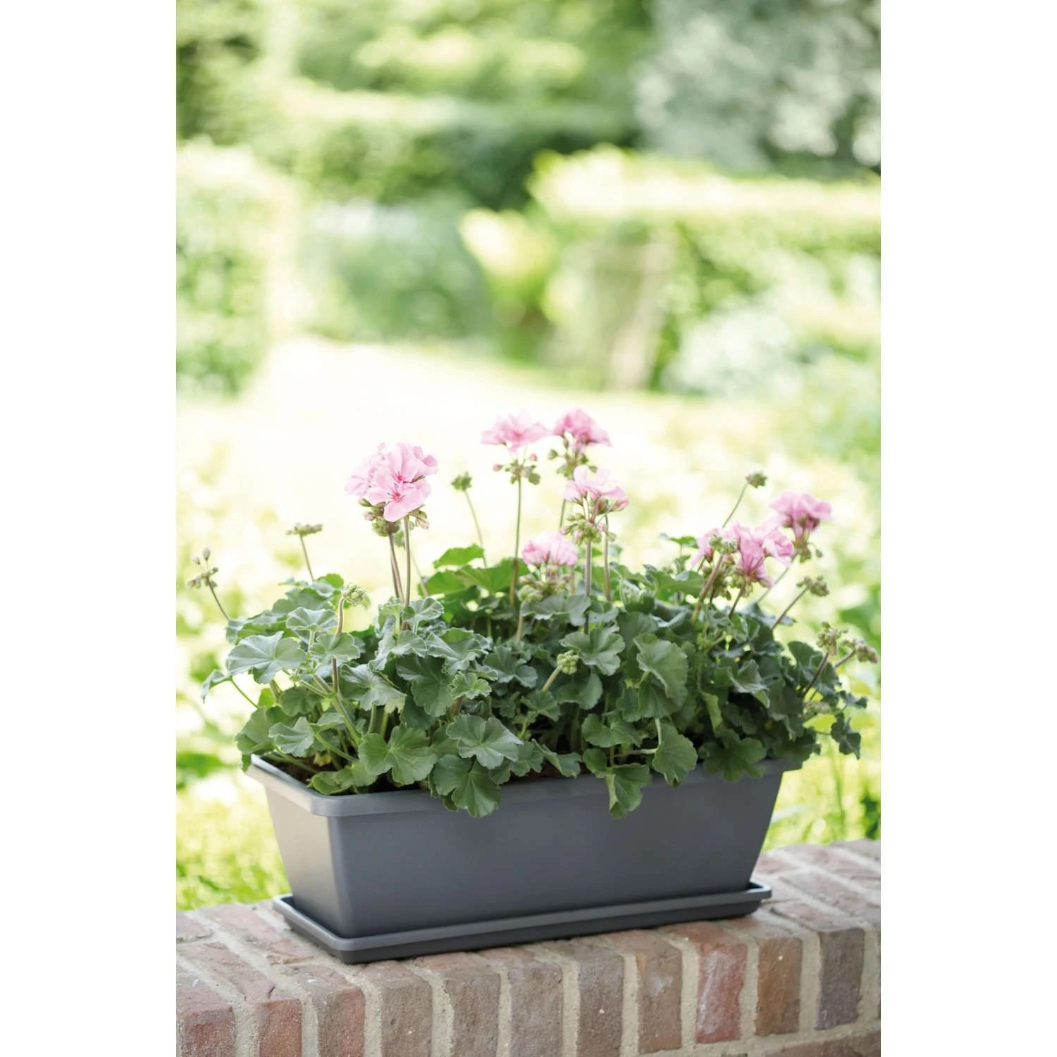 Elho Barcelona Trough Balkonbak 90 Antraciet 4 Elho Barcelona Trough Balkonbak 90 Antraciet - Afbeelding 2