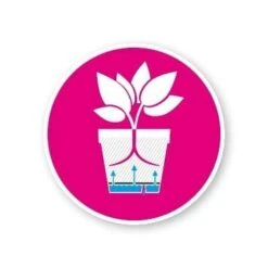 Elho Loft Urban Round 30 Antraciet 9 Elho Loft Urban Round 30 Antraciet -Deoosteindeonline Winkel elho loft urban round 30 antraciet 366x366 62483186de149 l