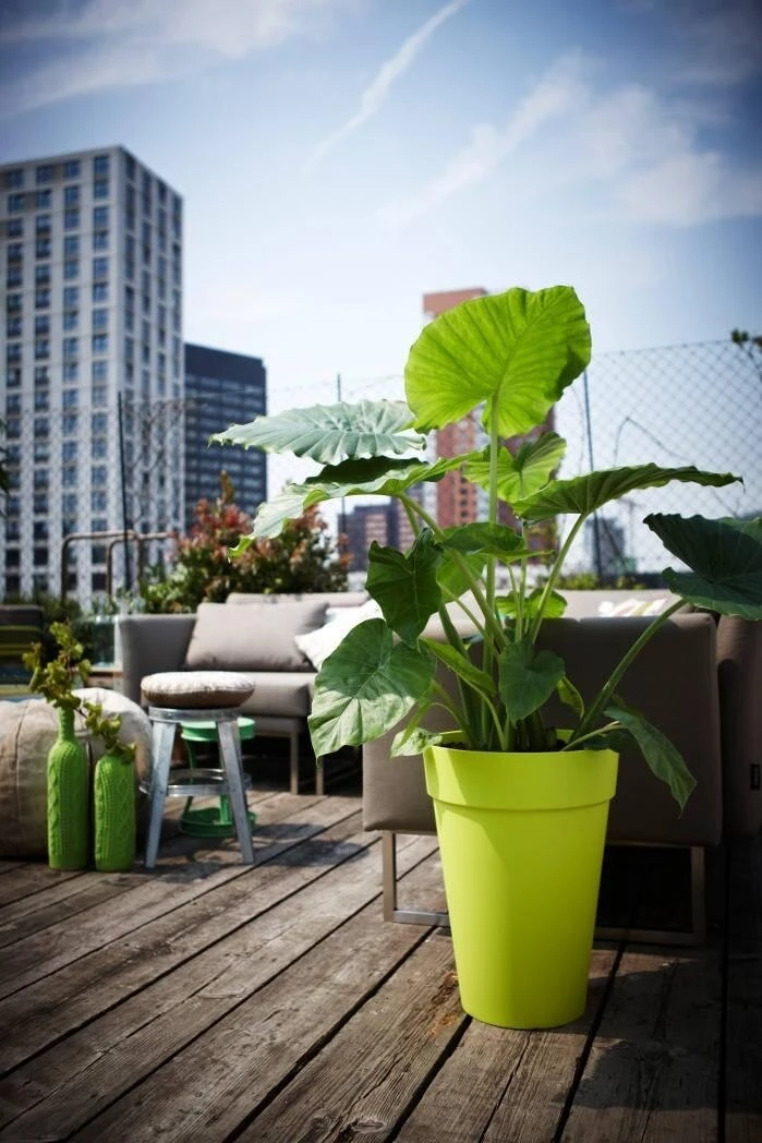 Elho Loft Urban Round High 28 Antraciet 4 Elho Loft Urban Round High 28 Antraciet - Afbeelding 2