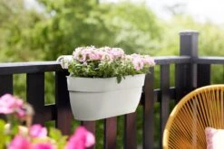 Elho Vibia Campana Easy Hanger Large Zijdewit -Deoosteindeonline Winkel elho vibia campana easy hanger large zijdewit 1024x682 61efe4cb8764d l