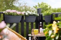 Elho Vibia Campana Easy Hanger Medium Anthraciet 9 Elho Vibia Campana Easy Hanger Medium Anthraciet -Deoosteindeonline Winkel elho vibia campana easy hanger medium anthraciet 1024x682 61e963649290e l