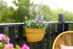 Elho Vibia Campana Easy Hanger Medium Honinggeel -Deoosteindeonline Winkel elho vibia campana easy hanger medium honinggeel 1024x682 61e94f6e1ea7a l