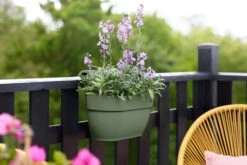 Elho Vibia Campana Easy Hanger Medium Pistache Groen -Deoosteindeonline Winkel elho vibia campana easy hanger medium pistache groen 1024x682 61e9615396f99 l