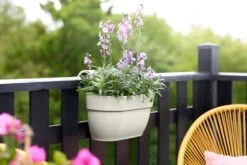 Elho Vibia Campana Easy Hanger Medium Zijdewit -Deoosteindeonline Winkel elho vibia campana easy hanger medium zijdewit 1024x682 61e9653bc75b6 l