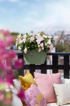 Elho Vibia Campana Flower Bridge 40 Pistachegroen 9 Elho Vibia Campana Flower Bridge 40 Pistachegroen -Deoosteindeonline Winkel elho vibia campana flower bridge 40 pistachegroen 1023x1536 61e56696cfe38 l