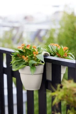 Elho Vibia Campana Flower Twin 21 Zijdewit 9 Elho Vibia Campana Flower Twin 21 Zijdewit -Deoosteindeonline Winkel elho vibia campana flower twin 21 zijdewit 1023x1536 61e54f4852b05 l