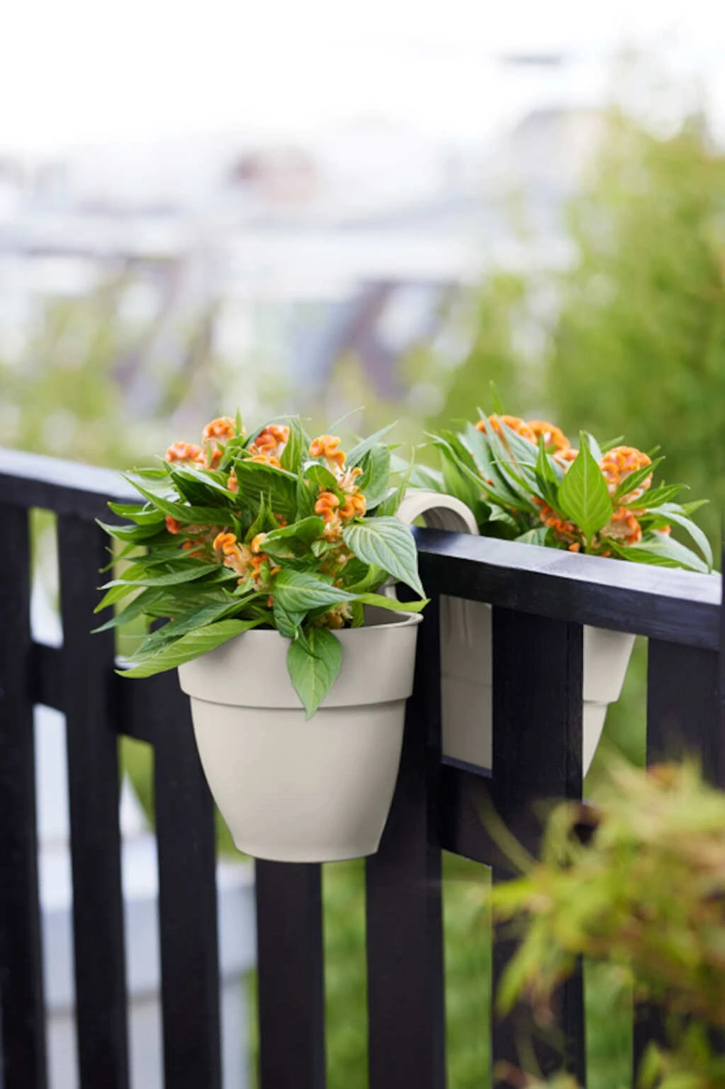 Elho Vibia Campana Flower Twin 21 Zijdewit 6 Elho Vibia Campana Flower Twin 21 Zijdewit - Afbeelding 4