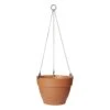 Elho Vibia Campana Hanging Basket 26 Terra -Deoosteindeonline Winkel elho vibia campana hanging basket 26 terra 1615235432 l