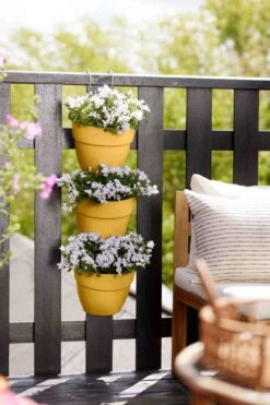 Elho Vibia Campana Vertical Forest Honinggeel -Deoosteindeonline Winkel elho vibia campana vertical forest honinggeel 1023x1536 61f0022a80a34 l