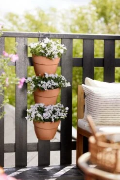 Elho Vibia Campana Vertical Forest Terra -Deoosteindeonline Winkel elho vibia campana vertical forest terra 683x1024 642bede518fcb l