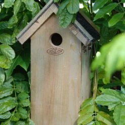 Esschert Design Koolmees Nestkast -Deoosteindeonline Winkel esschert design koolmees nestkast 1632139084 1 l