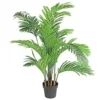 Mica Areca Zijde 130 Cm Groen 2 Mica Areca Zijde 130 Cm Groen -Deoosteindeonline Winkel mica areca zijde 130 cm groen 756x504 646350b5cca79 l