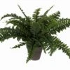 Mica Boston Varen Groen -Deoosteindeonline Winkel mica boston varen groen 1024x751 645e4a451c284 l