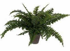 Mica Boston Varen Groen