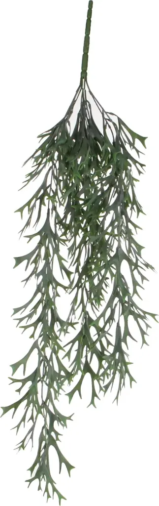 Mica Citronella Hang 84 Cm Groen 3 Mica Citronella Hang 84 Cm Groen