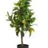 Mica Citrus Limon Zijde 75 Cm Geel
