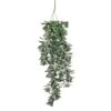 Mica Crassula Hang 79 Cm Groen