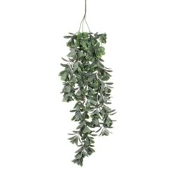 Mica Crassula Hang 79 Cm Groen