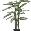 Mica Dieffenbachia 100 Cm Groen -Deoosteindeonline Winkel mica dieffenbachia 100 cm groen 814x1024 64634da058e04 l