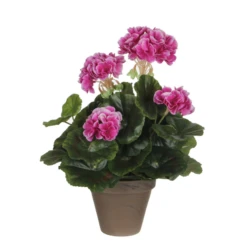 Mica Geranium 33 Cm Paars