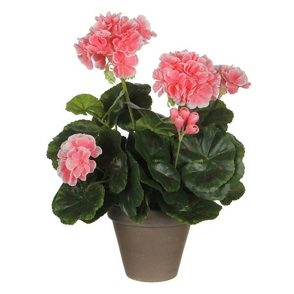 Mica Geranium 33cm Perzik 3 Mica Geranium 33cm Perzik