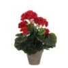 Mica Geranium Groot Rood -Deoosteindeonline Winkel mica geranium groot rood 1623487370 l