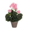 Mica Geranium Groot Roze -Deoosteindeonline Winkel mica geranium groot roze 1623487301 l