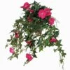 Mica Hang Petunia Diep Roze -Deoosteindeonline Winkel mica hang petunia diep roze 1024x1024 645a5e77ac66c l