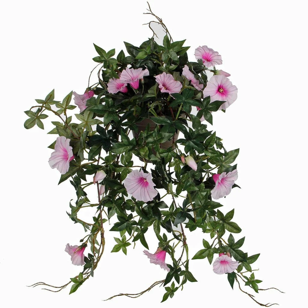 Mica Hang Petunia Roze 3 Mica Hang Petunia Roze