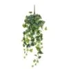 Mica Hedera Hang 71 Cm -Deoosteindeonline Winkel mica hedera hang 71 cm 1620986827 l