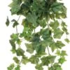 Mica Hedera Hang 71 Cm Groen 2 Mica Hedera Hang 71 Cm Groen -Deoosteindeonline Winkel mica hedera hang 71 cm groen 501x1024 646348713ef07 l