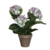 Mica Hortensia In Pot Paars -Deoosteindeonline Winkel mica hortensia in pot paars 1623486605 l