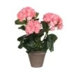 Mica Hortensia In Pot Roze -Deoosteindeonline Winkel mica hortensia in pot roze 1623486871 l