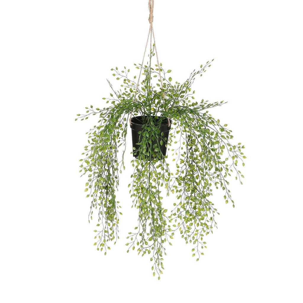 Mica Jasmine Hang Groen 3 Mica Jasmine Hang Groen