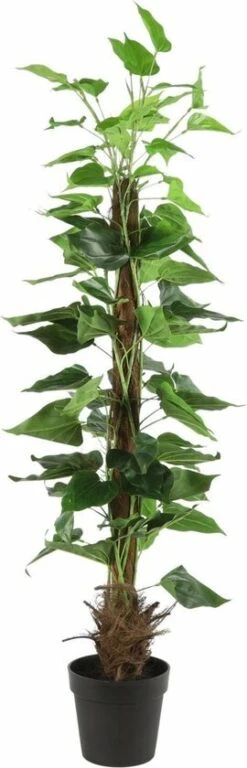 Mica Monstera 150 Cm Groen