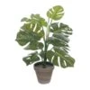 Mica Monstera Groen 2 Mica Monstera Groen -Deoosteindeonline Winkel mica monstera groen 1024x1024 645e202d42759 l