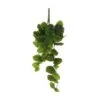 Mica Peperomia Hang 58 Cm 1 Mica Peperomia Hang 58 Cm -Deoosteindeonline Winkel mica peperomia hang 58 cm 1620734186 l