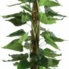 Mica Philodendron 140 Cm Groen 1 Mica Philodendron 140 Cm Groen -Deoosteindeonline Winkel mica philodendron 140 cm groen 270x840 64634ea331f61 l