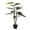 Mica Philodendron In Pot Groen -Deoosteindeonline Winkel mica philodendron in pot groen 1623484094 l