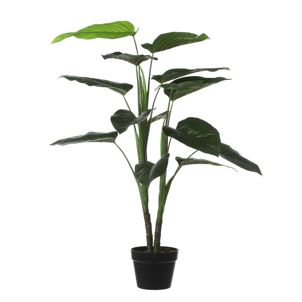 Mica Philodendron In Pot Groen 3 Mica Philodendron In Pot Groen