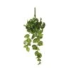 Mica Pothos Hang 58 Cm -Deoosteindeonline Winkel mica pothos hang 58 cm 1620737182 l