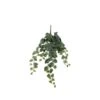 Mica Scindapsus Hang 71 Cm 2 Mica Scindapsus Hang 71 Cm -Deoosteindeonline Winkel mica scindapsus hang 71 cm 1620734456 l