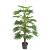 Mica Washingtonia 150 Cm Groen -Deoosteindeonline Winkel mica washingtonia 150 cm groen 756x504 646351c88dc2a l