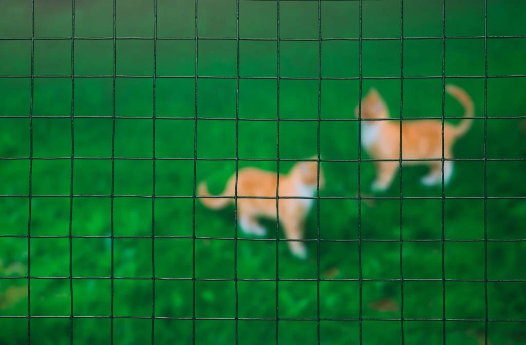 Nature Gaas Vierkant Geplastificeerd 1 X 5 Meter 3 Nature Gaas Vierkant Geplastificeerd 1 X 5 Meter